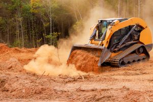 Read more about the article Why Summer Is a Popular Time for Land Clearing